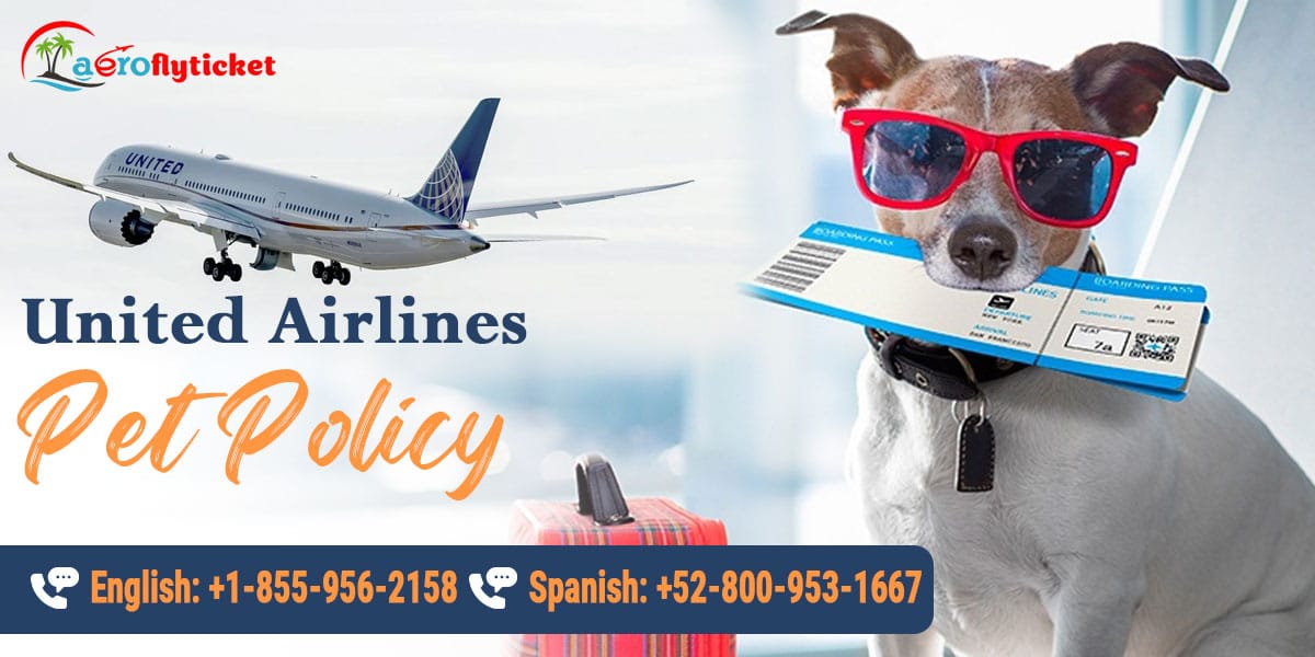 United Airlines Pet Policy