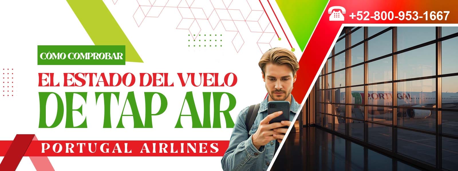 Cómo comprobar el estado del vuelo de tap Air Portugal Airlines