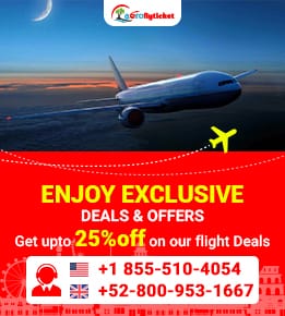 aerofly ticket rules