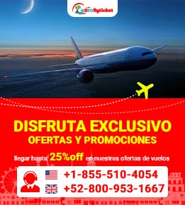 aerofly ticket rules