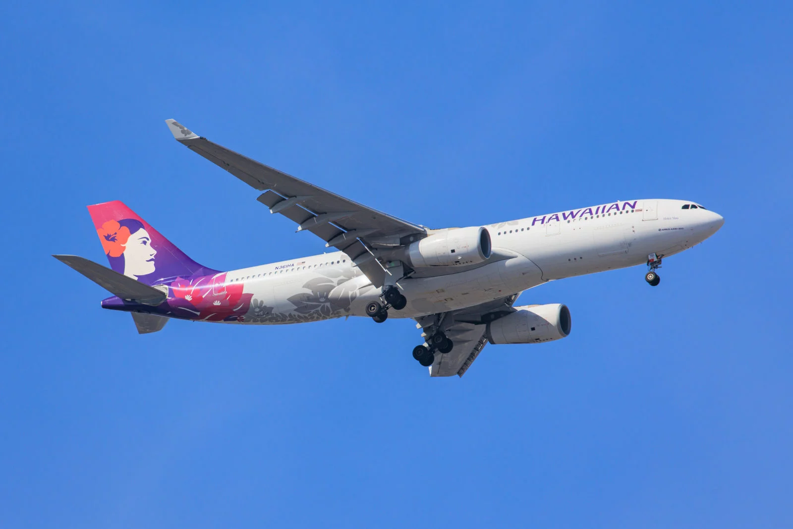 How to Book Hawaiian Airlines Group Travel