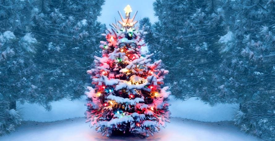 Best Places to visit During Christmas in USA ?